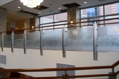 Glass Railing Systems|Shower Doors Glass DC
