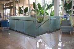 Glass Railing Systems|Shower Doors Glass DC