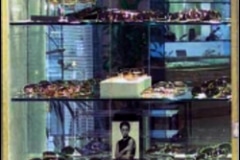 Custom mirror wall|Shower Doors Glass DC