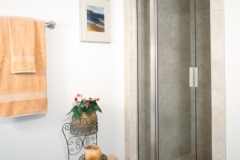 Single Inline Semi Frameless shower doors|Shower Door Glass DC