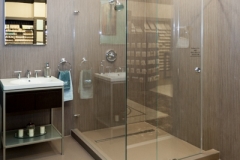 Sliding Skyline Frameless shower doors|Shower Door Glass DC
